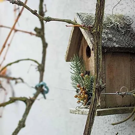 Art & Nature In Der Naehe Ffm-messe Apartahotel