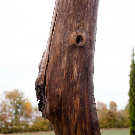 Art & Nature In Der Naehe Ffm-messe Aparthotel Bad Vilbel