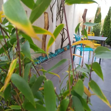Art & Nature In Der Naehe Ffm-messe Aparthotel