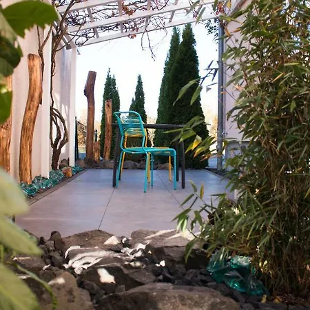 Art & Nature In Der Naehe Ffm-messe