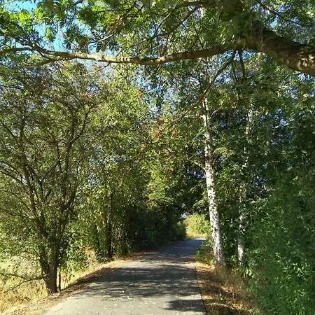 Appart hôtel Art & Nature In Der Naehe Ffm-messe Bad Vilbel