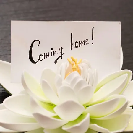 Art & Nature In Der Naehe Ffm-messe 3* Bad Vilbel